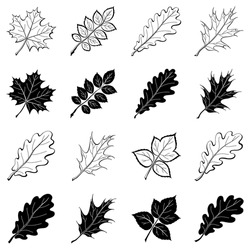 Different leaves, set of black and white pictograms - elements for design. Vector