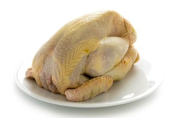 a raw fresh organic free range corn fed chicken isolated on a white background