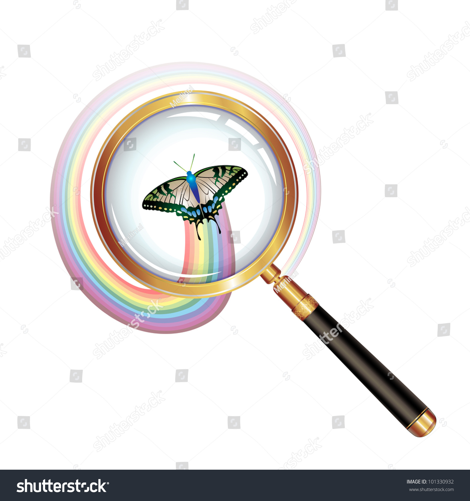 Magnifying Glass Butterfly Isolated On White 库存插图 101330932 Shutterstock