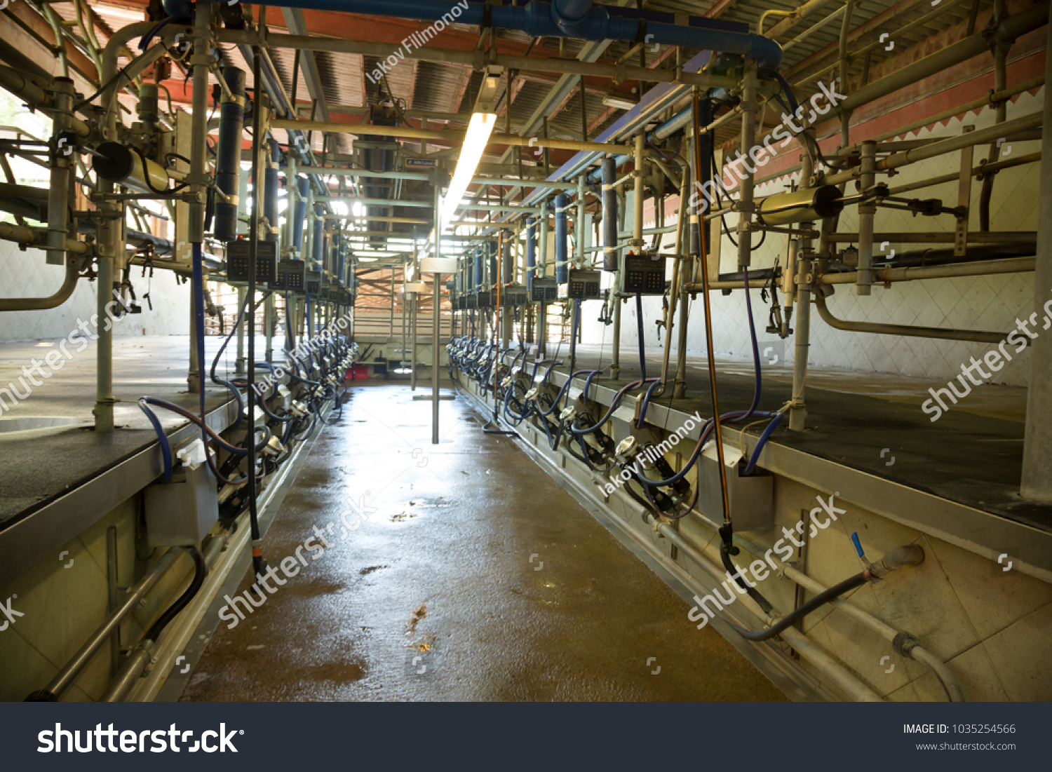 Milking room