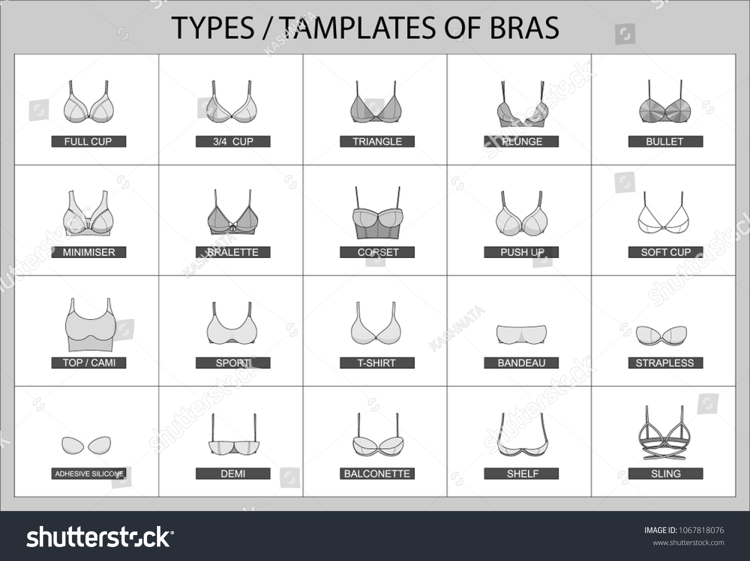 Set Types Female Bras Such Full Stock Vector Royalty Free 1067818076