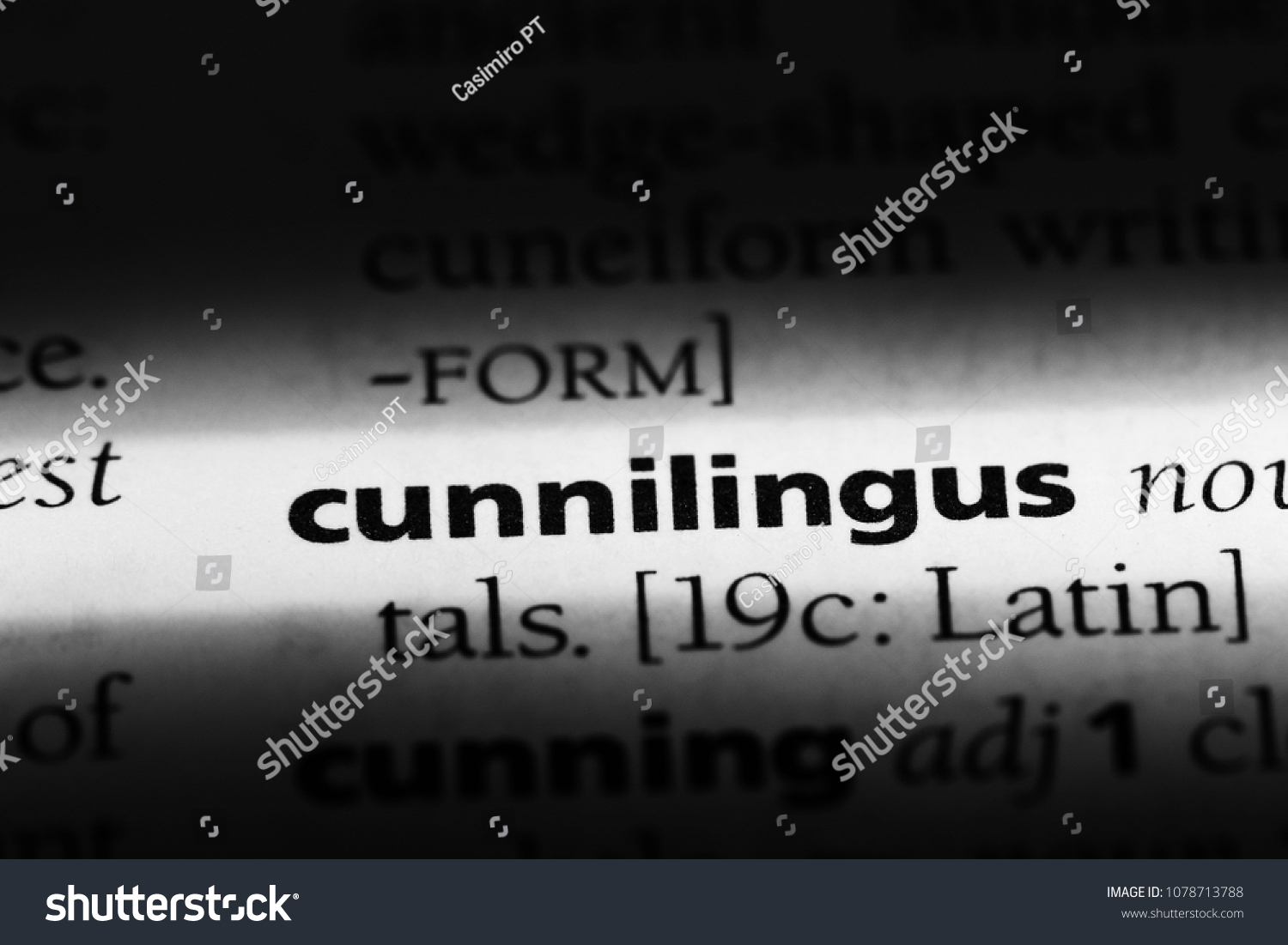 Cunnilingus definition 2023 jelsoft enterprises ltd