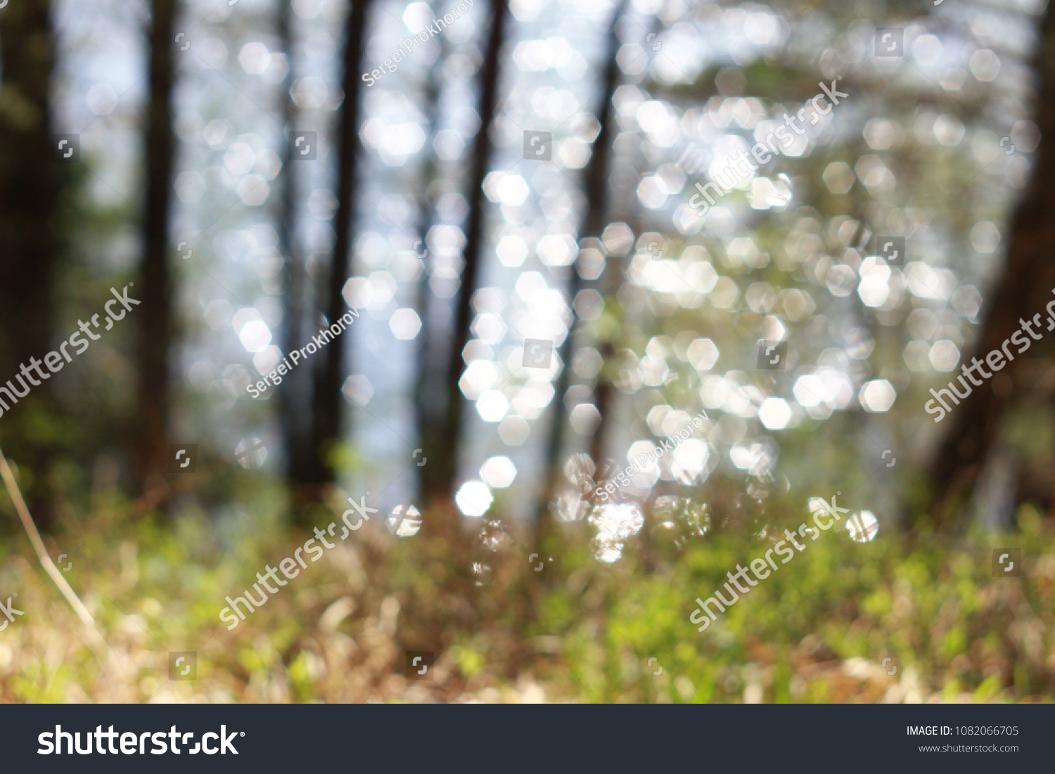 Abstract Green Forest Bokeh Background Stock Photo