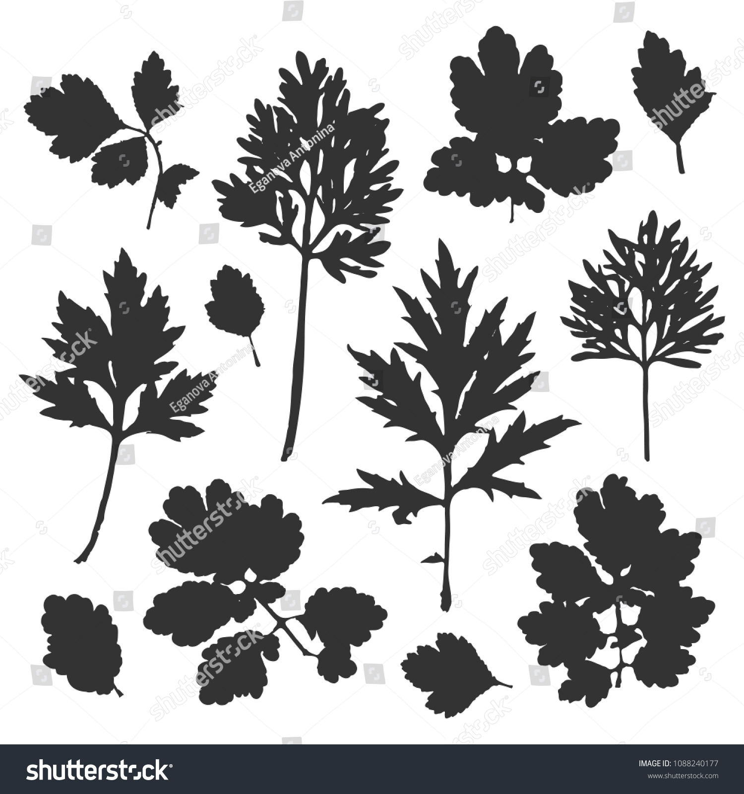 Silhouette Bush Leaves Vector Illustration Stock Vector Royalty Free