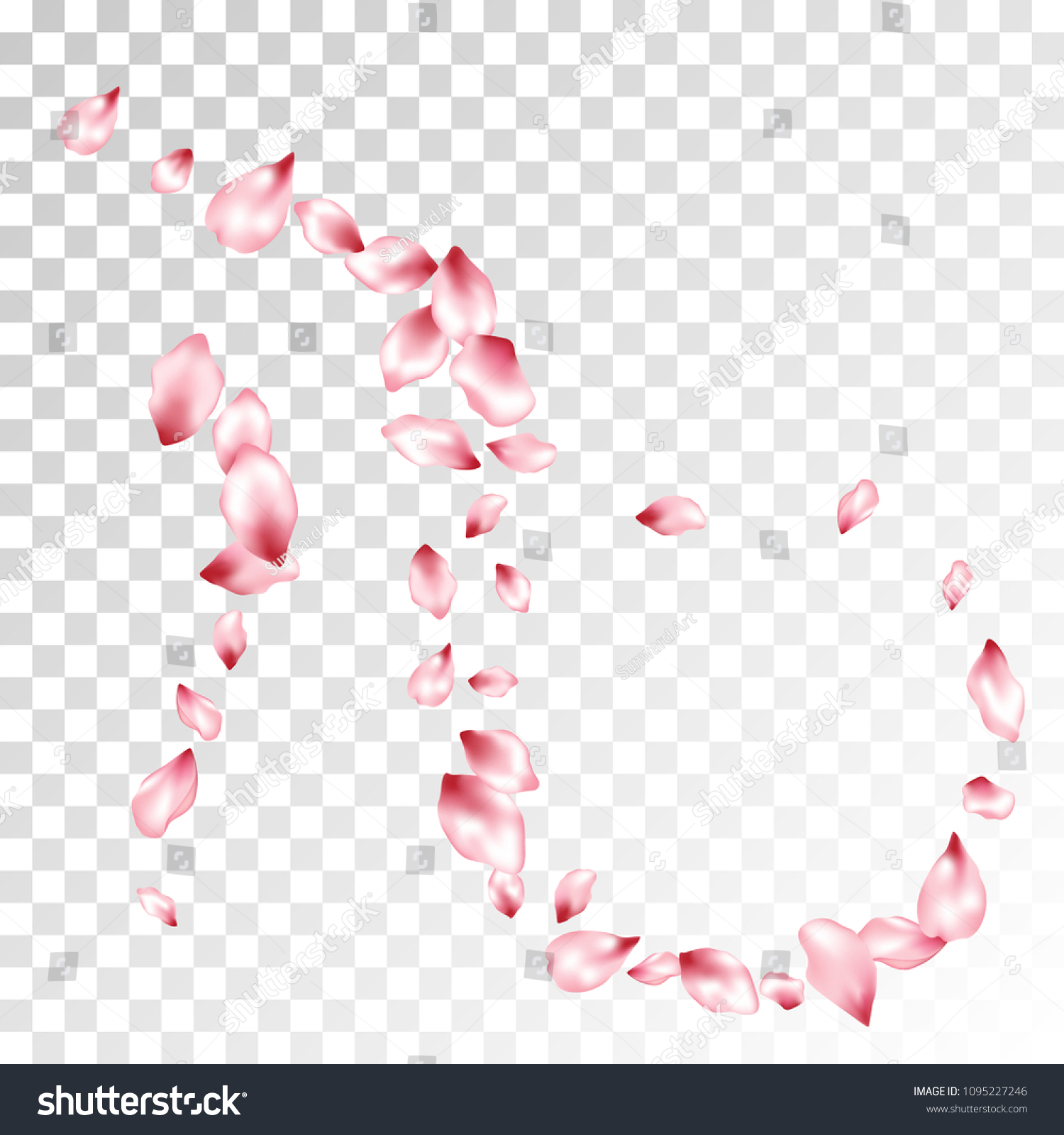 Pink Sakura Petals Flying Vector Fashionable Stock Vector Royalty Free