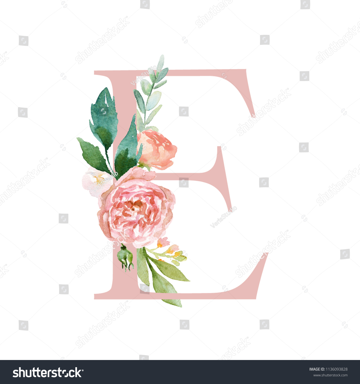 Floral Alphabet Blush Peach Color Letter Stock Illustration 1136093828