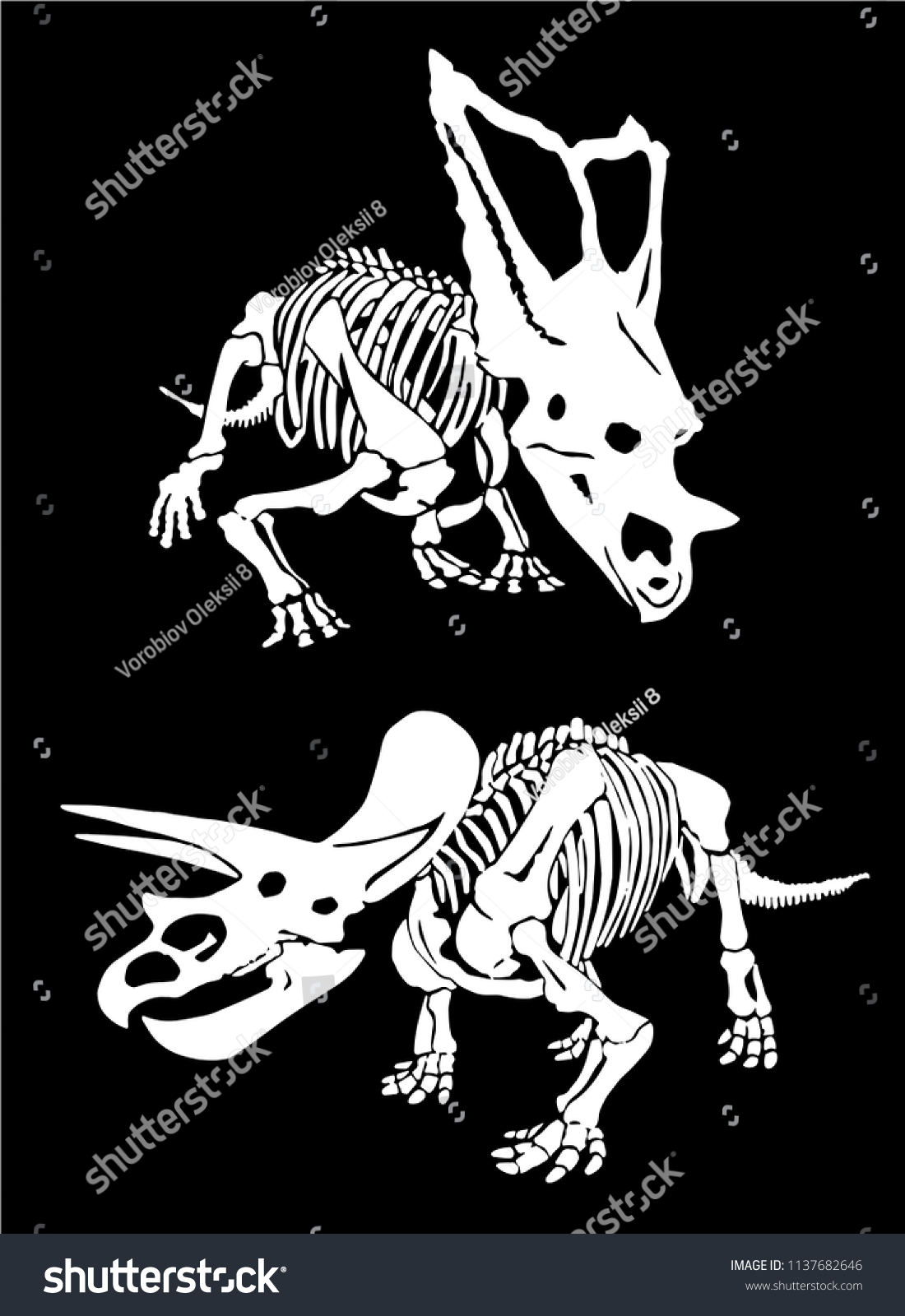 Graphical Set Dinosaur Skeletons Isolated On Stock Vector Royalty Free