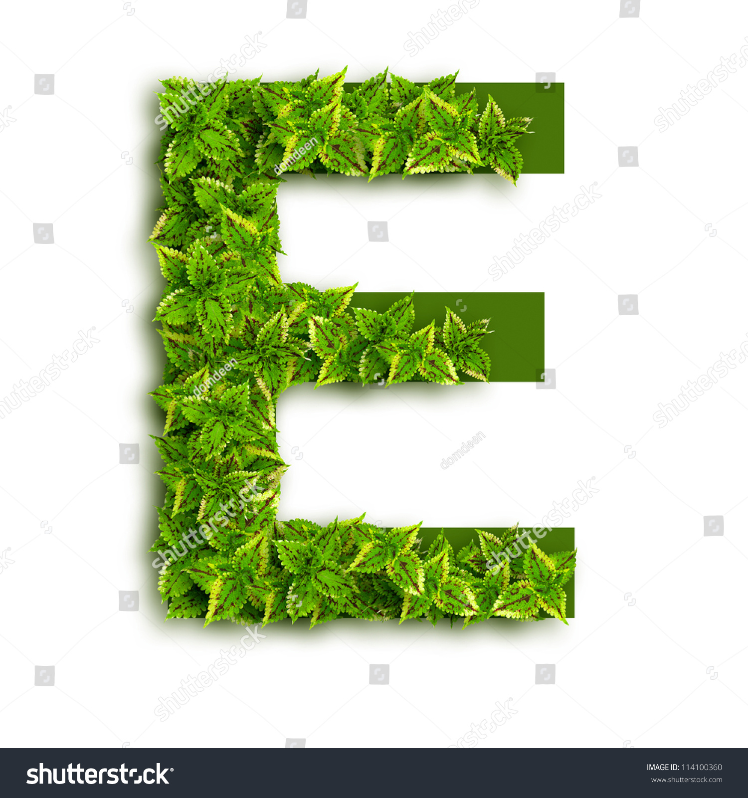 Letter E Alphabet Green Leaves Isolated Stock Photo 114100360