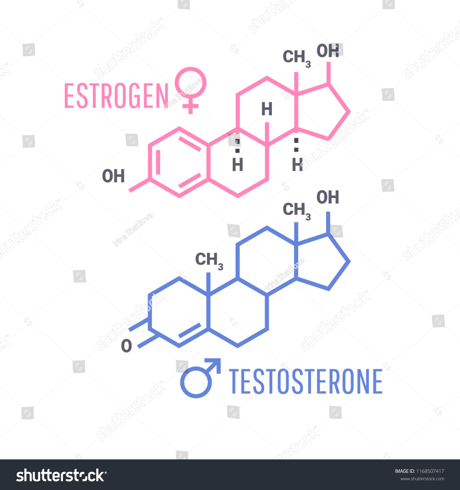 Fórmula molecular de hormonas sexuales Símbolo vector de stock libre