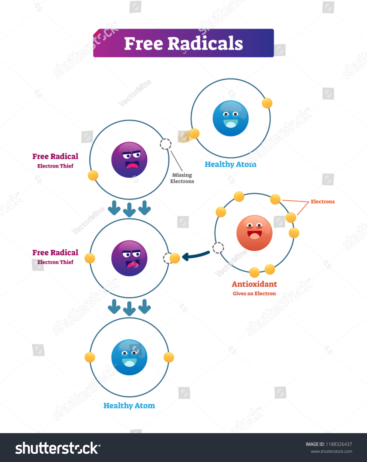 Free Radicals Antioxidant Healthy Atom Explanation Stock Vector