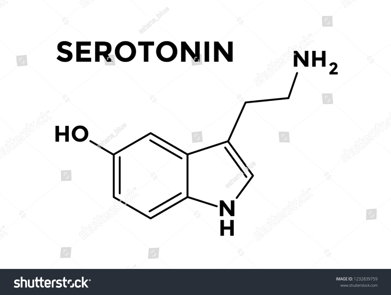 Serotonin Neurotransmitter Structural Chemical Formula Happiness Stock