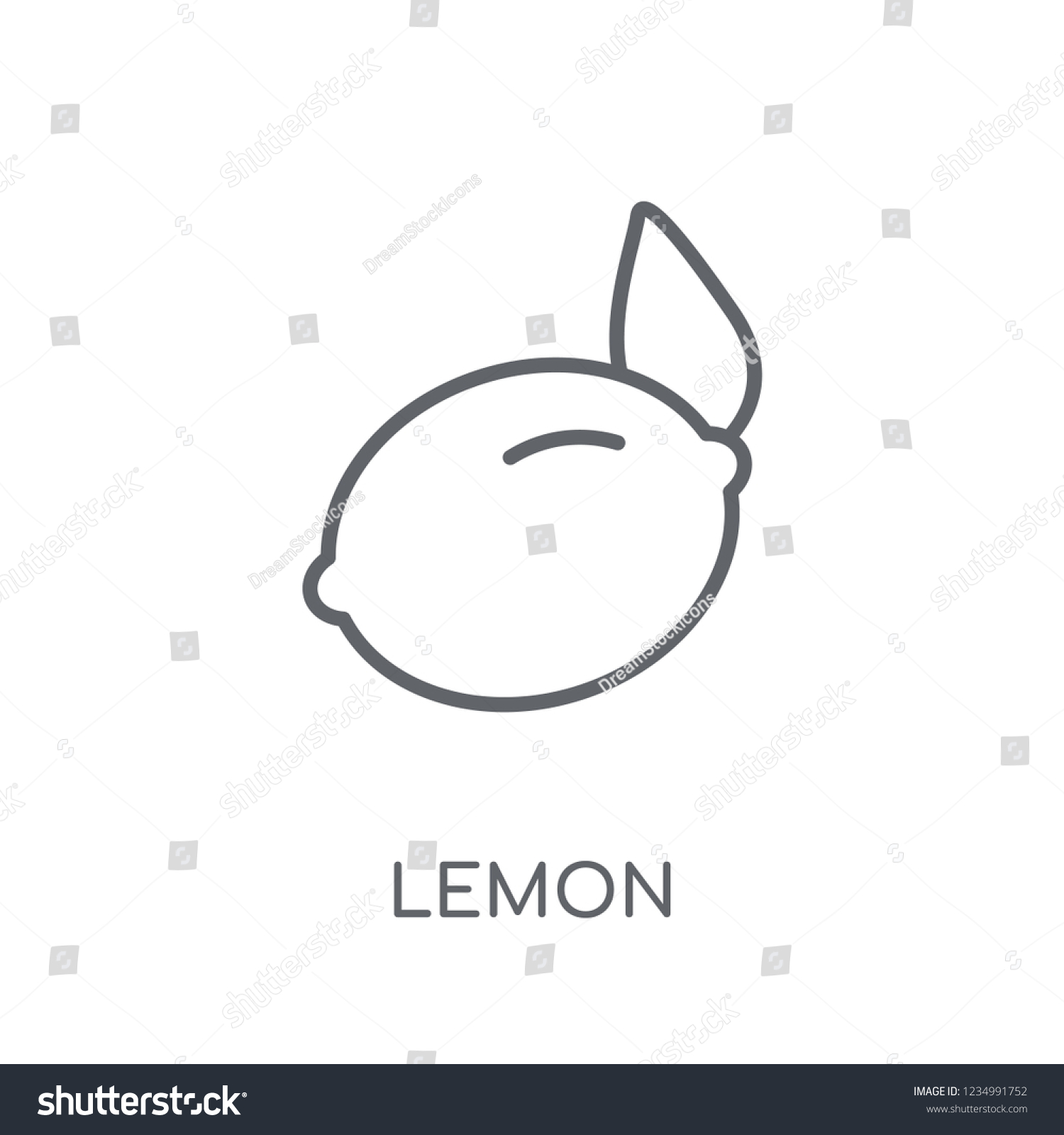 Lemon Linear Icon Modern Outline Lemon Stock Vector Royalty Free