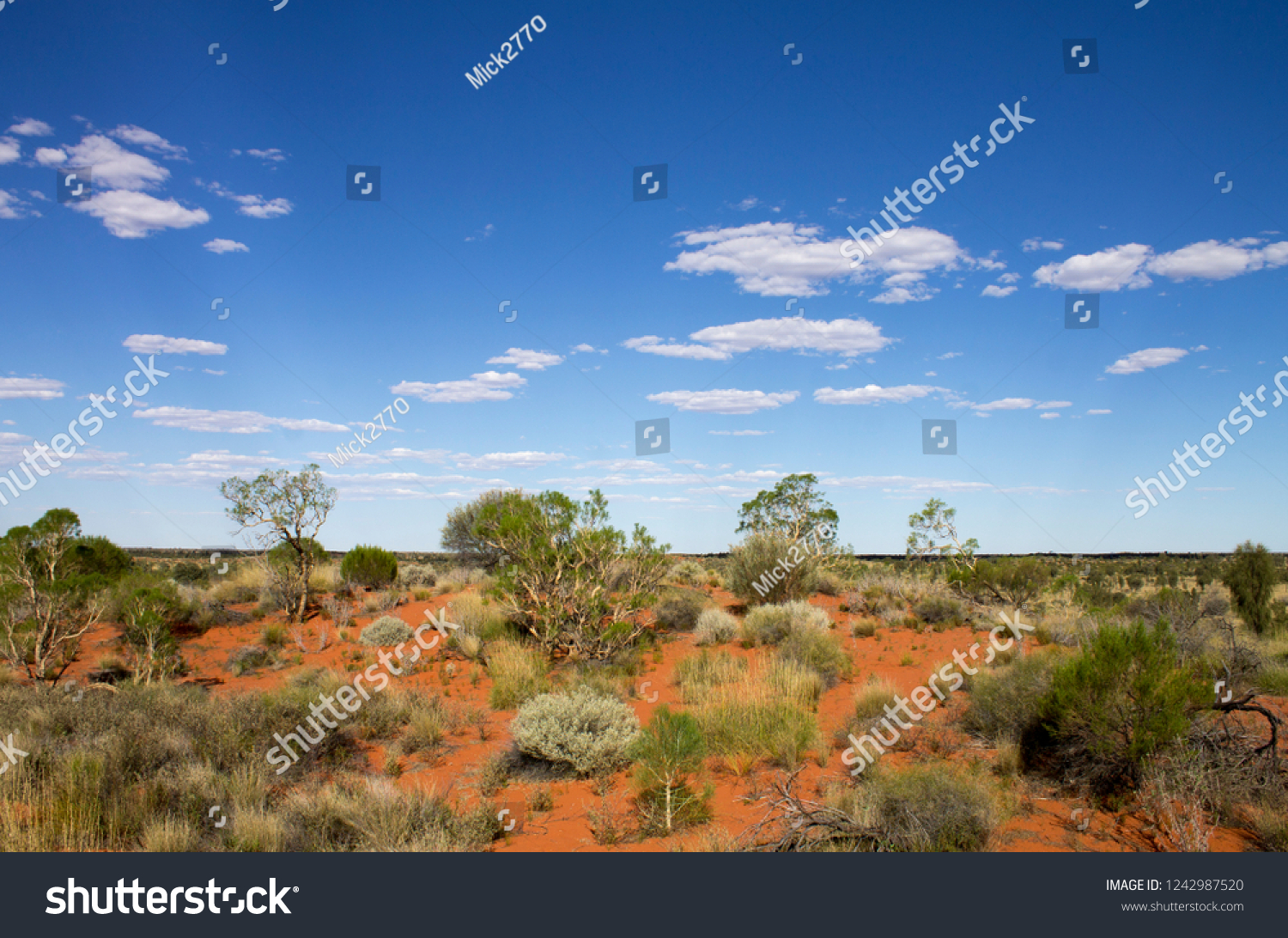 91 Scrubby Vegetation Images Stock Photos Vectors Shutterstock