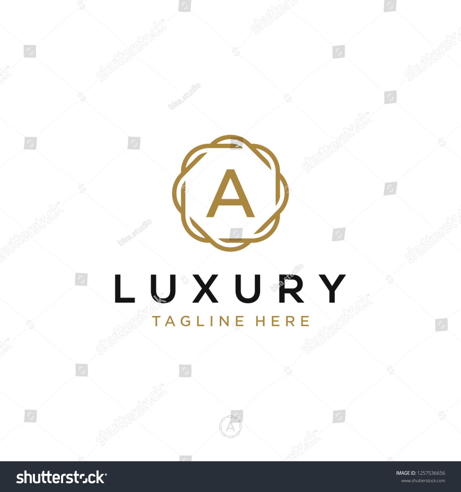 Luxurious Minimalist Elegant Sophisticated Initial Letters Stock Vector