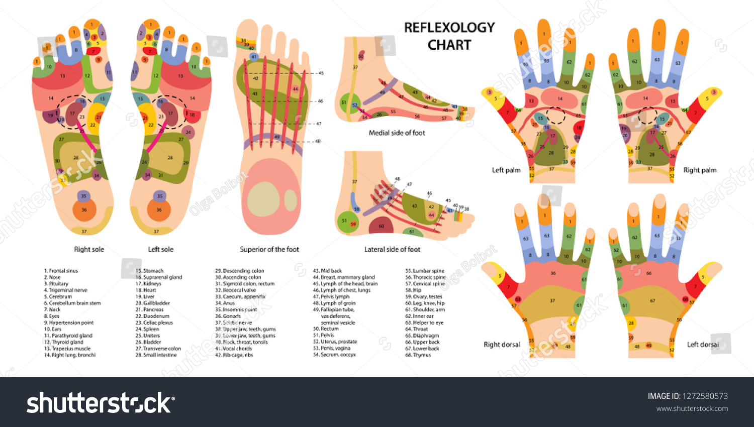 Free chart sexual hand reflexology