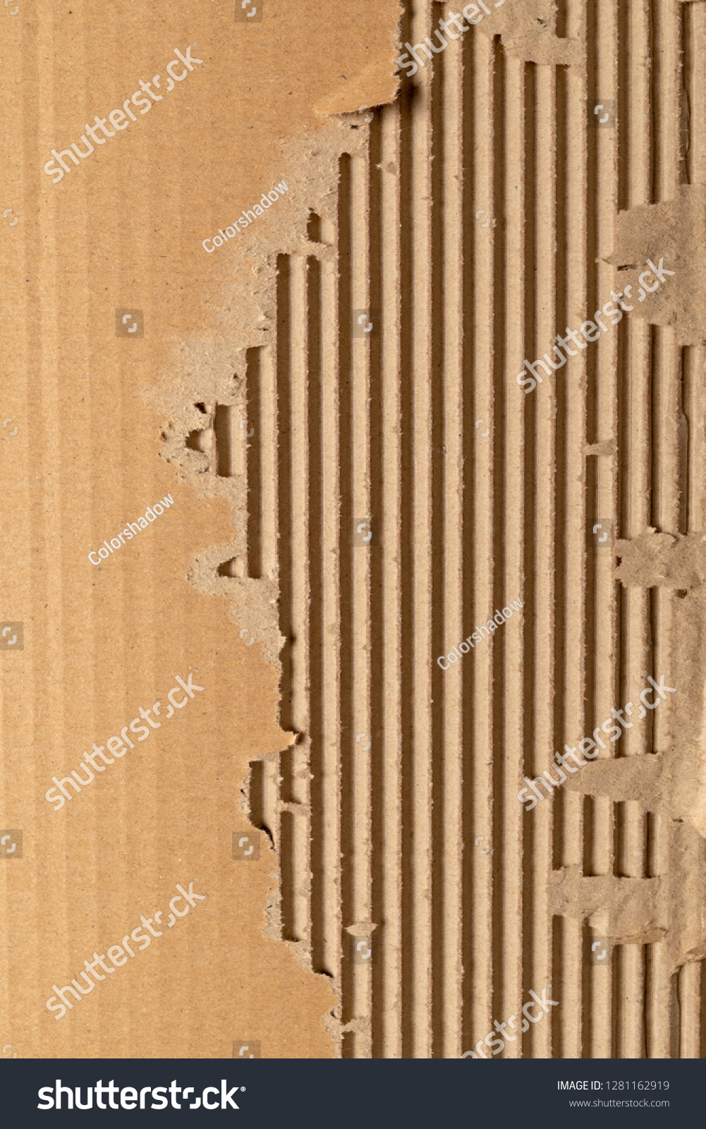 Texture Corrugated Cardboard Torn Edges Texture Stock Photo 1281162919