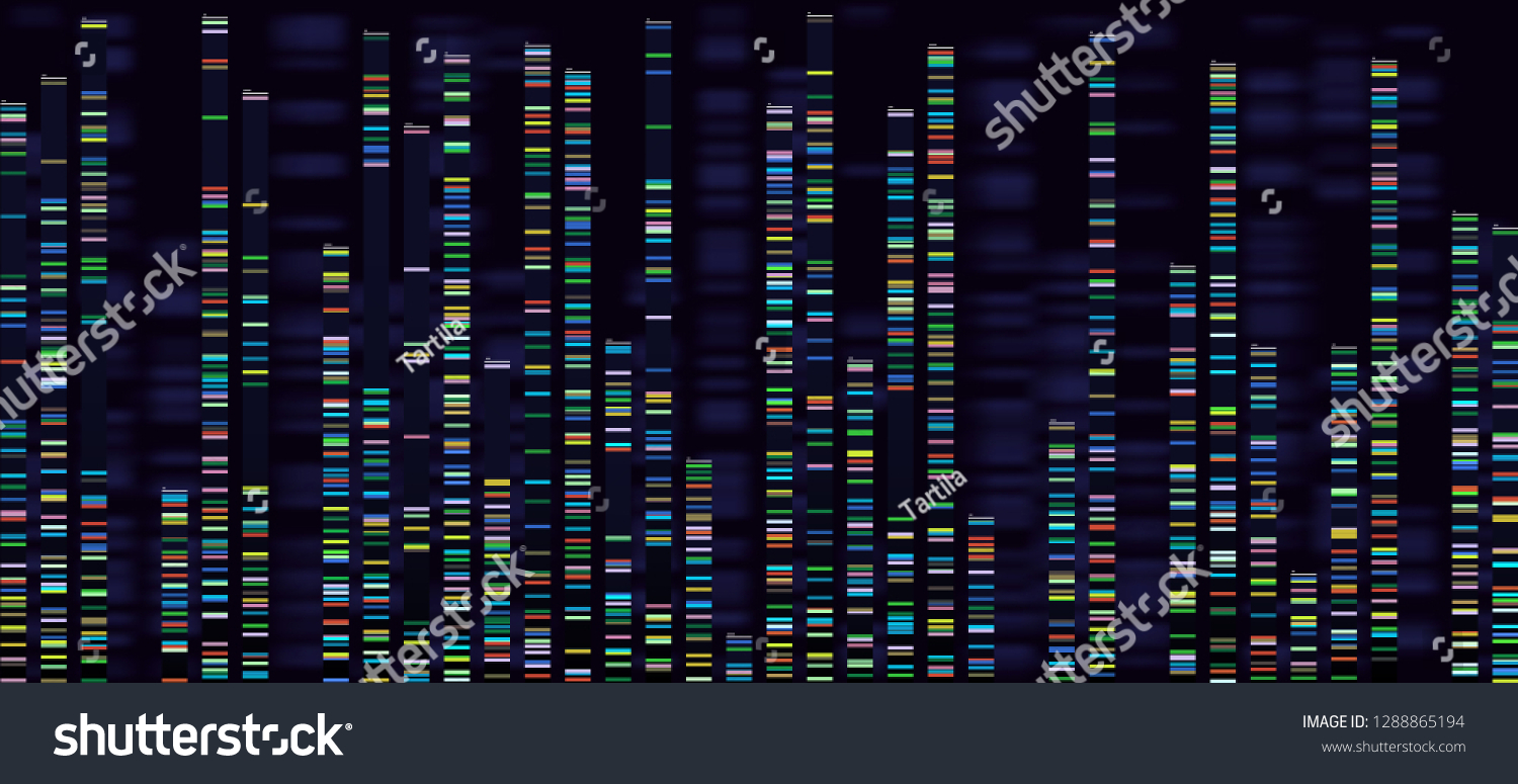 Visualisierung Der Genetischen Analyse Dna Genome Sequenzierung