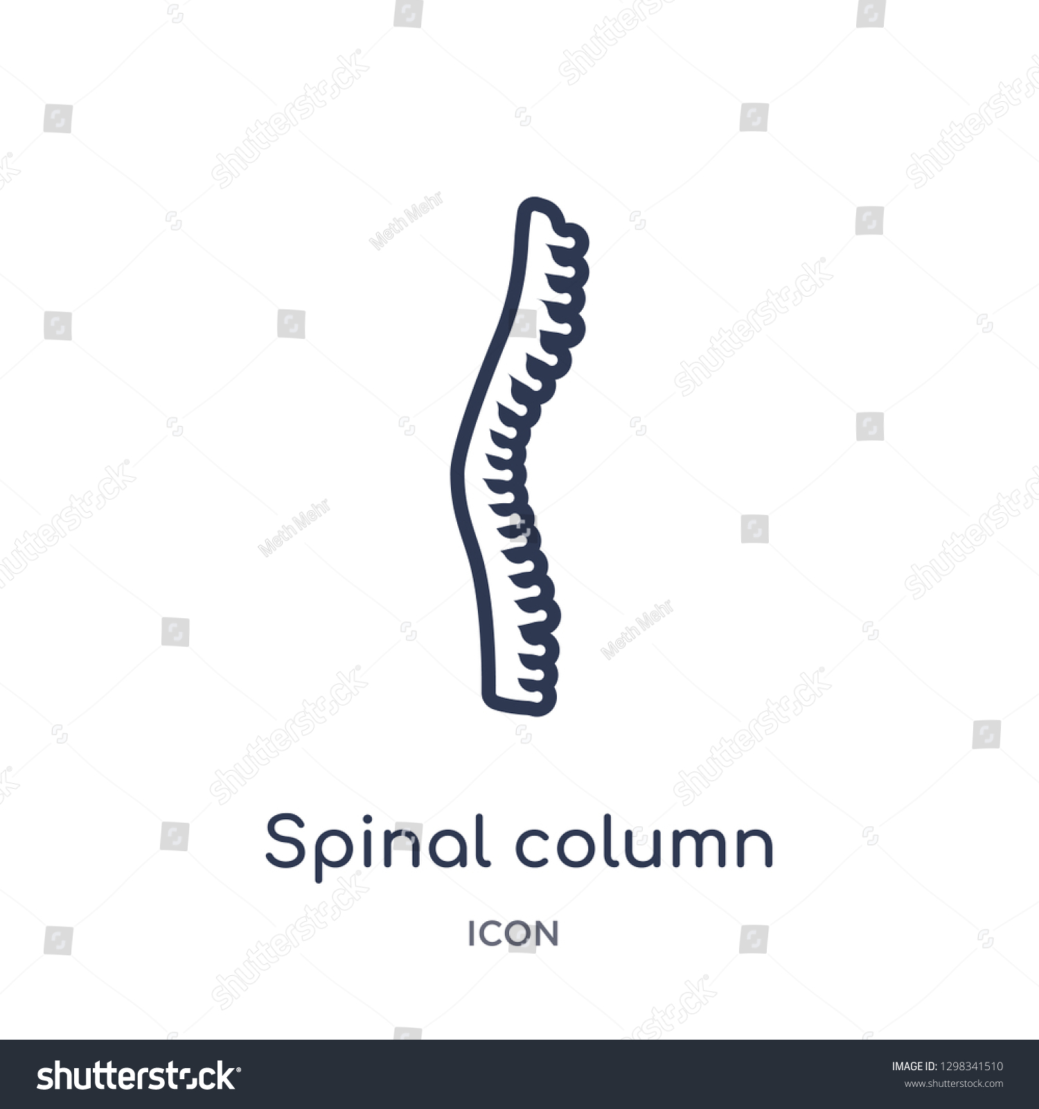 Linear Spinal Column Icon Medical Outline Stock Vector Royalty Free