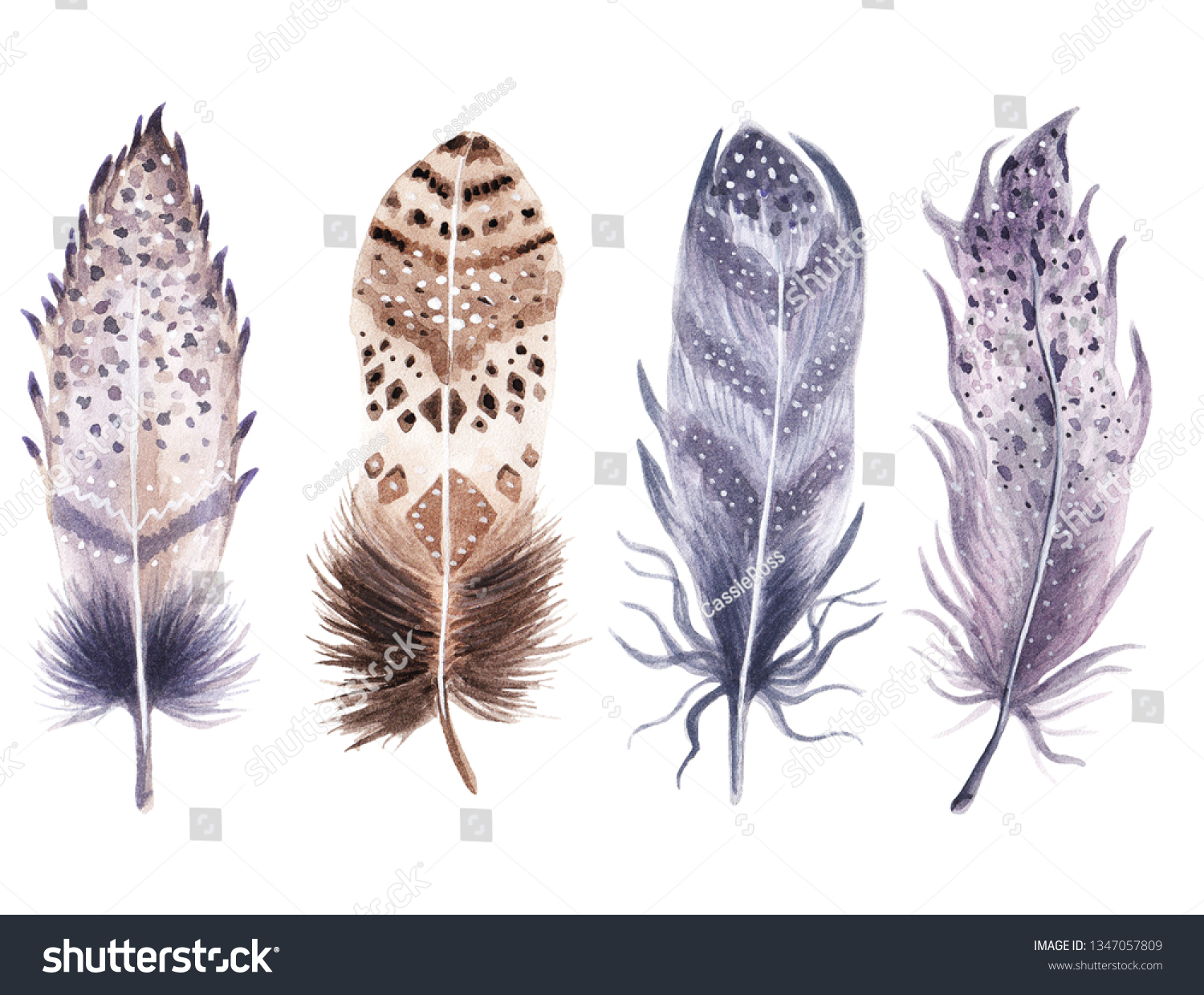 Cute Watercolor Boho Feathers Set Stock Illustration 1347057809