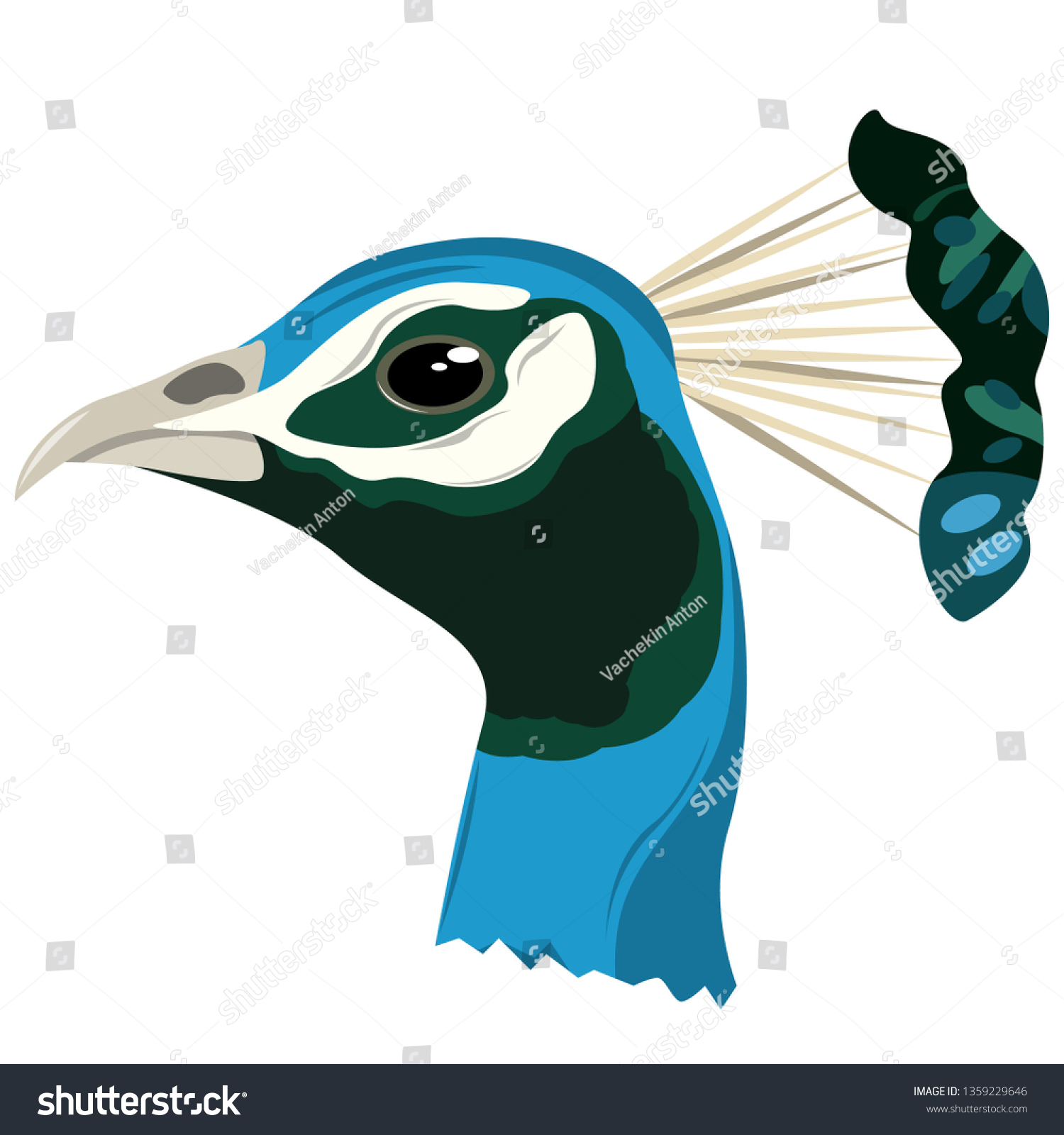 Realistic Image Peacock Bird Head Vector Stock Vector Royalty Free