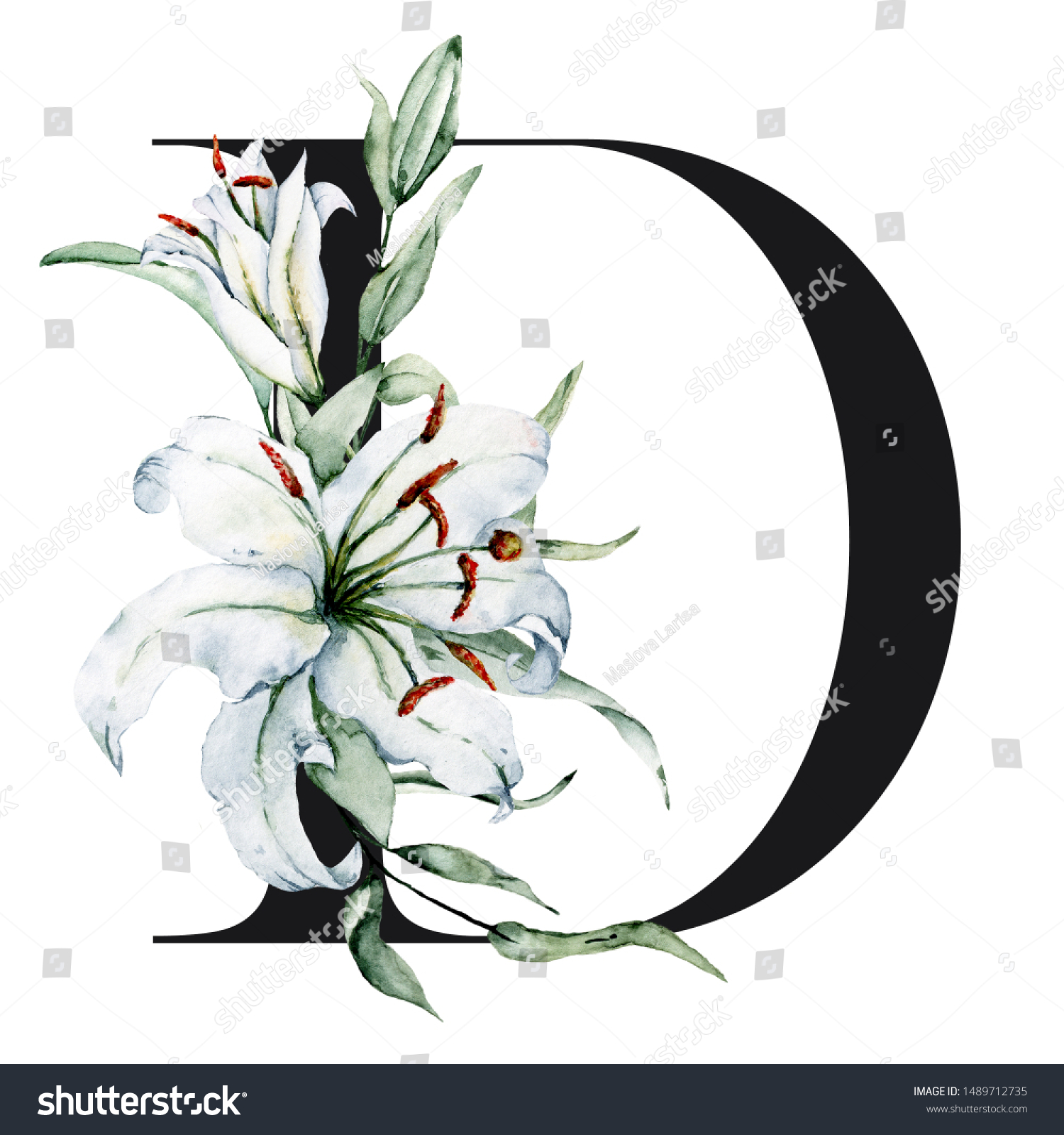 Floral Alphabet Letter D Watercolor Flowers Stock Illustration