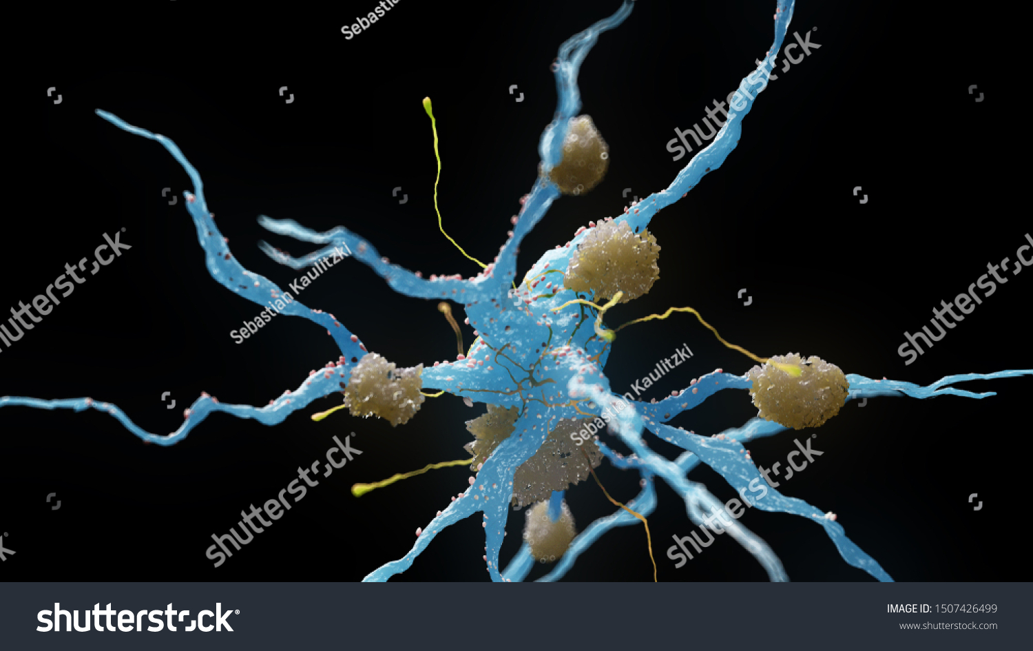 D Rendered Medical Illustration Nerve Cells Shutterstock