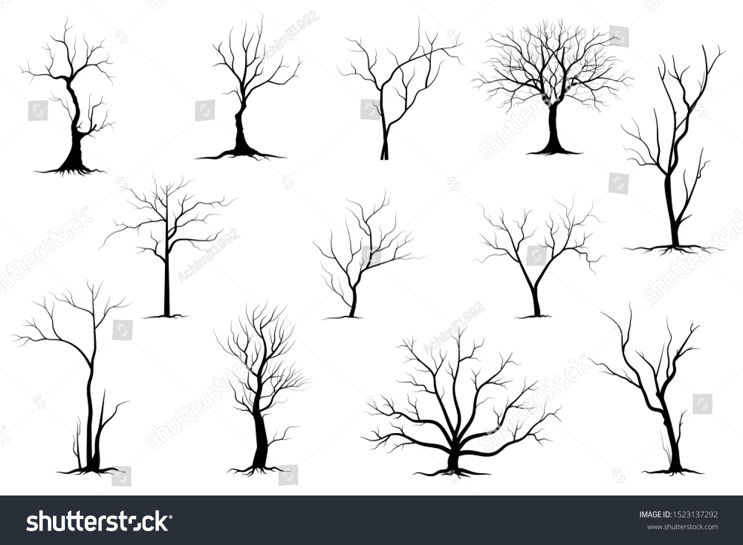 Black Branch Tree Naked Trees Silhouettes Stock Vector Royalty Free