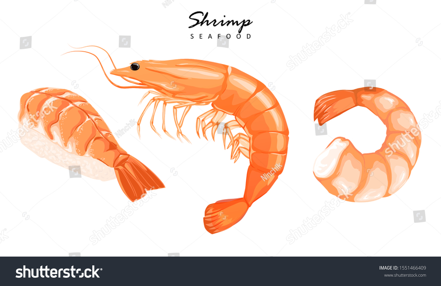 Shrimp Prawn Icons Set Boiled Shrimp Stock Vector Royalty Free