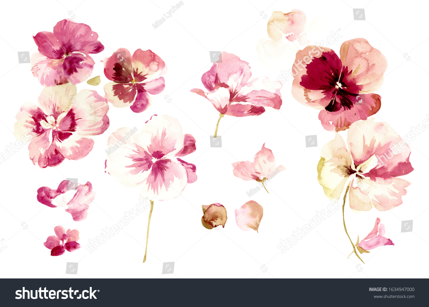 Flowers Watercolor Illustrationmanual Composition Set Watercolor 스톡