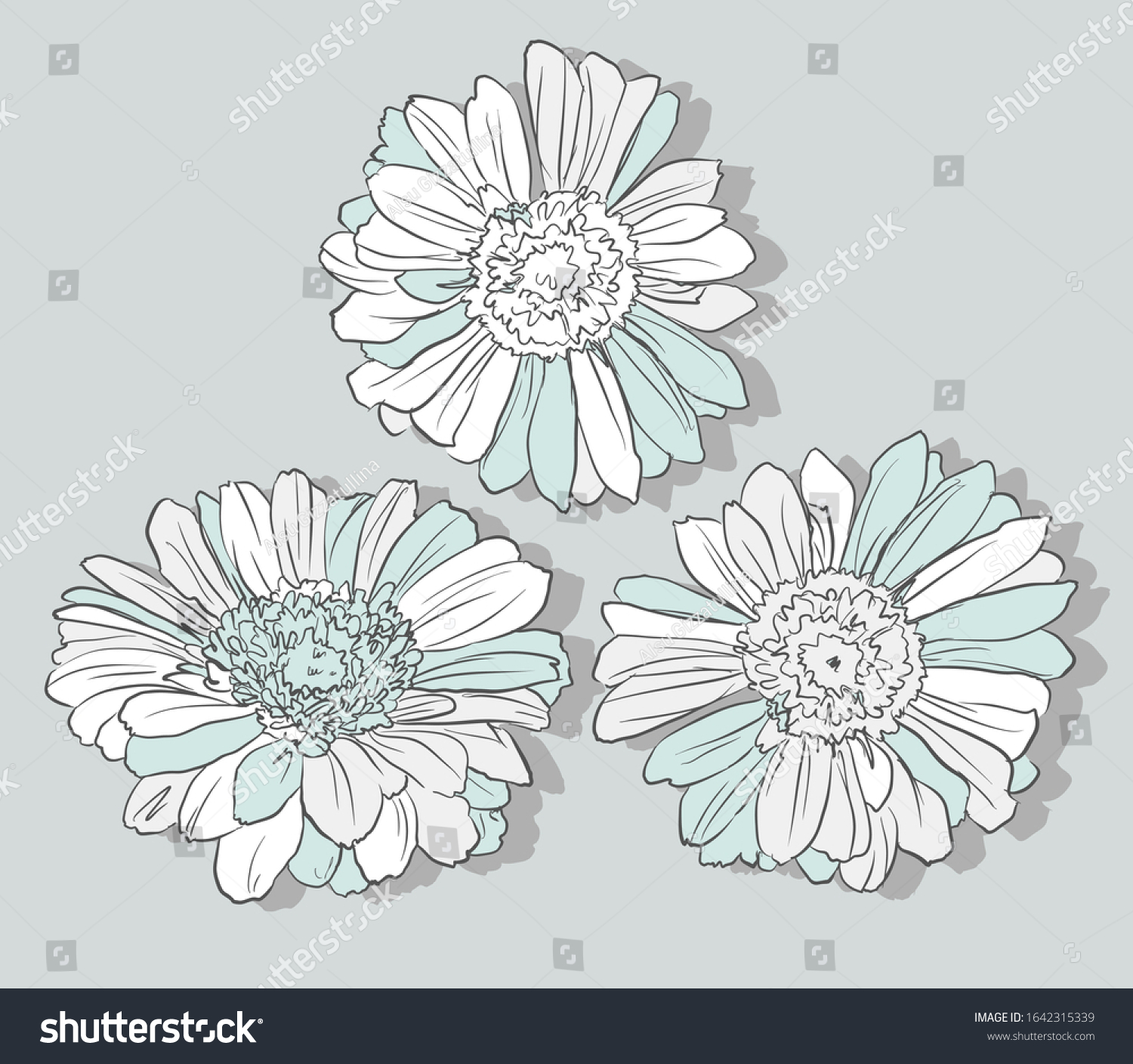 Hand Drawn Gerbera Ink Flowers Sketch Stock Vector Royalty Free