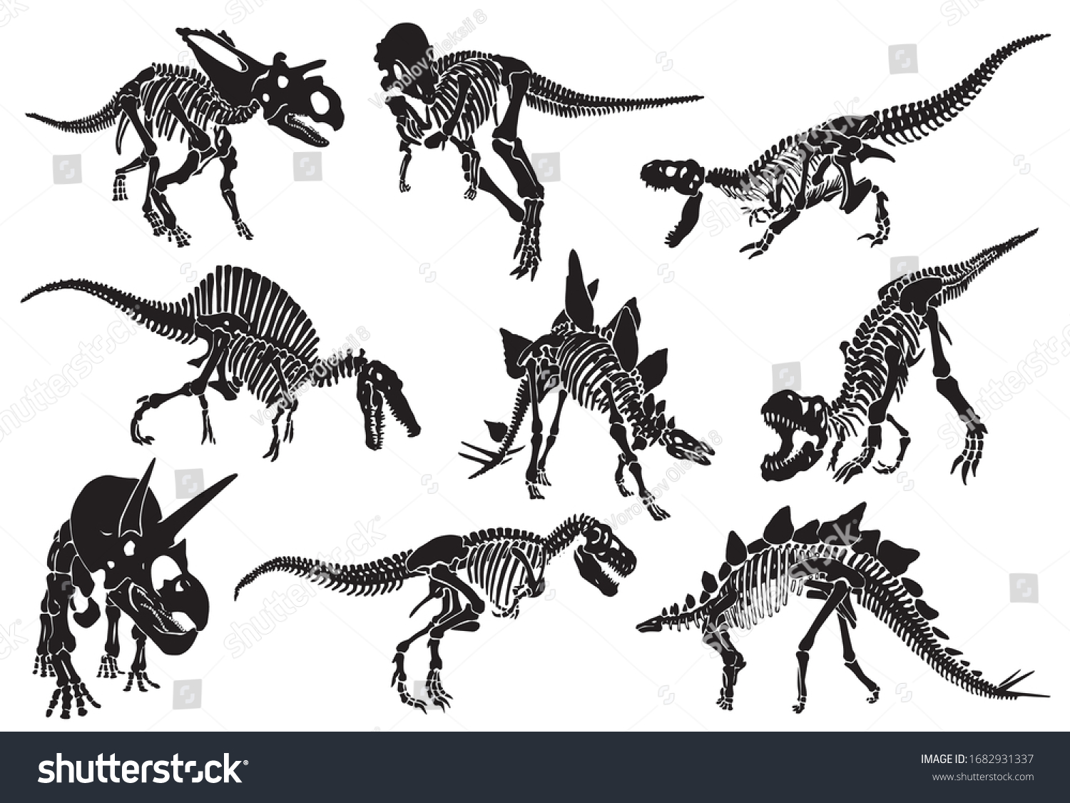 Graphical Set Dinosaur Skeletons Isolated On Stock Vector Royalty Free