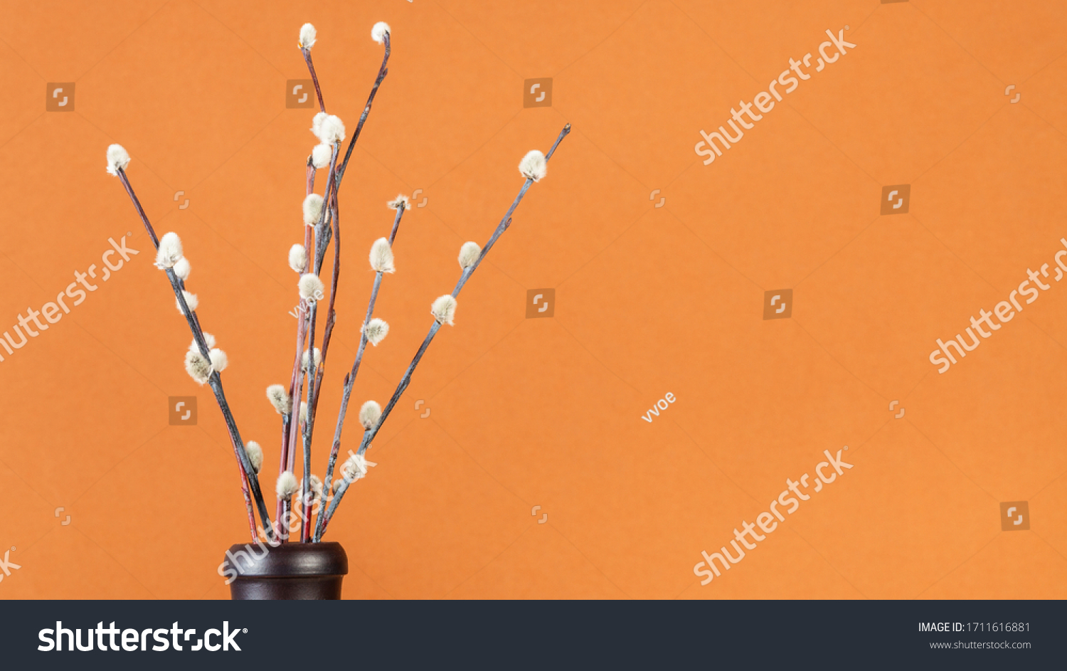 Pussy Willow Sunday Palm Sunday Feast Stock Photo 1711616881 Shutterstock