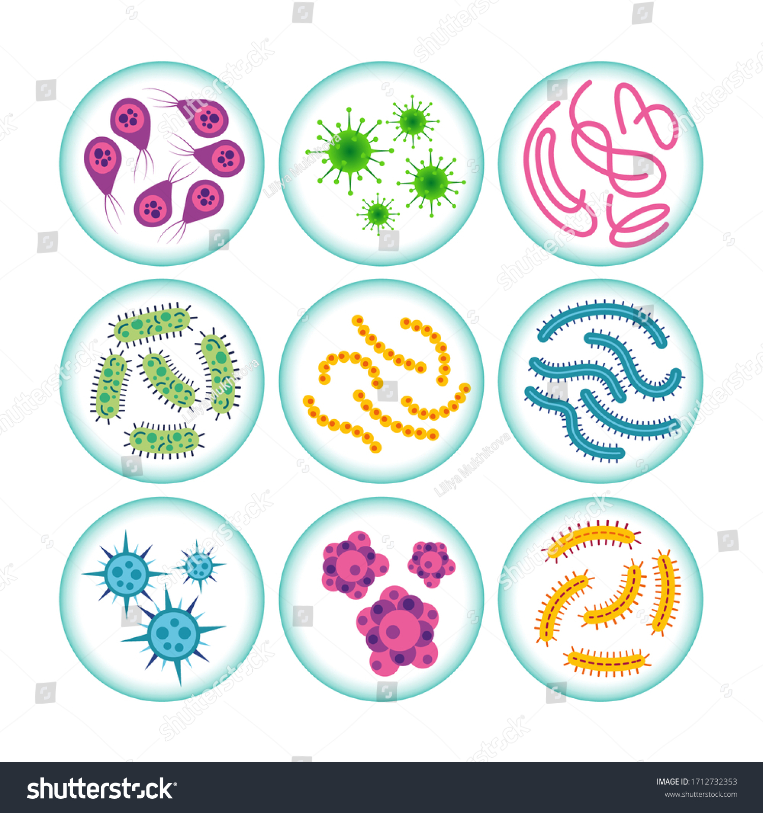 Bacterial Microorganism Circle Bacteria Germs Colorful Stock Vector Royalty Free