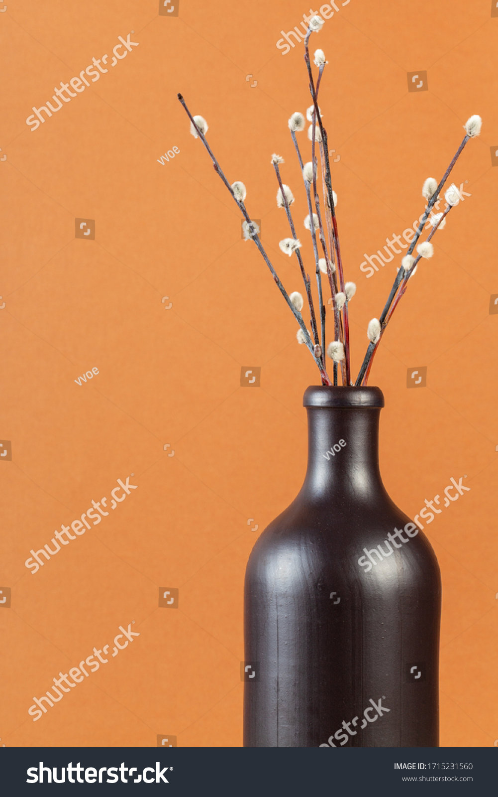 Vertical Pussy Willow Sunday Palm Sunday Stock Photo 1715231560