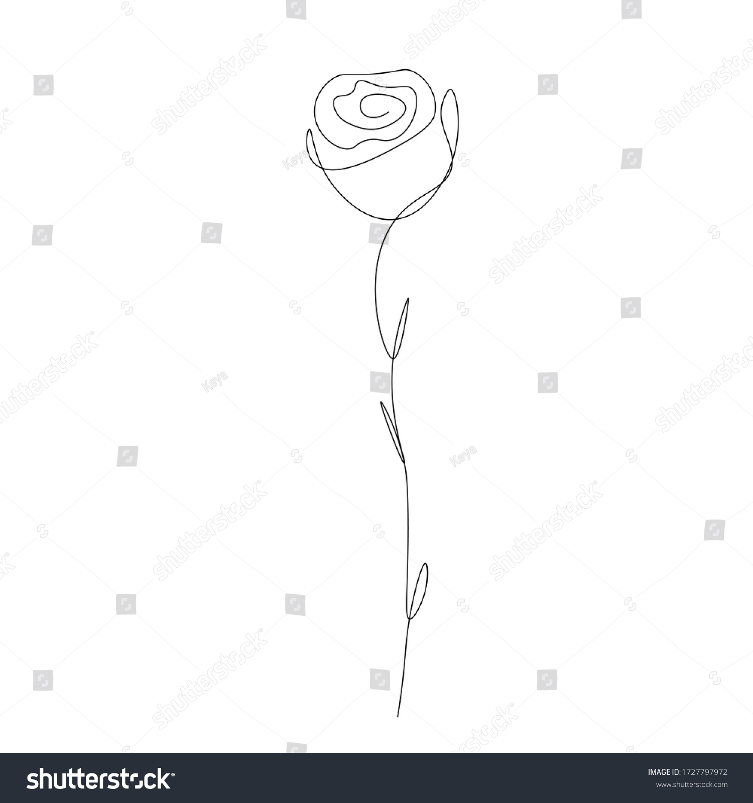 Vektor Stok Rose Flower Background Line Drawing Vector Tanpa Royalti