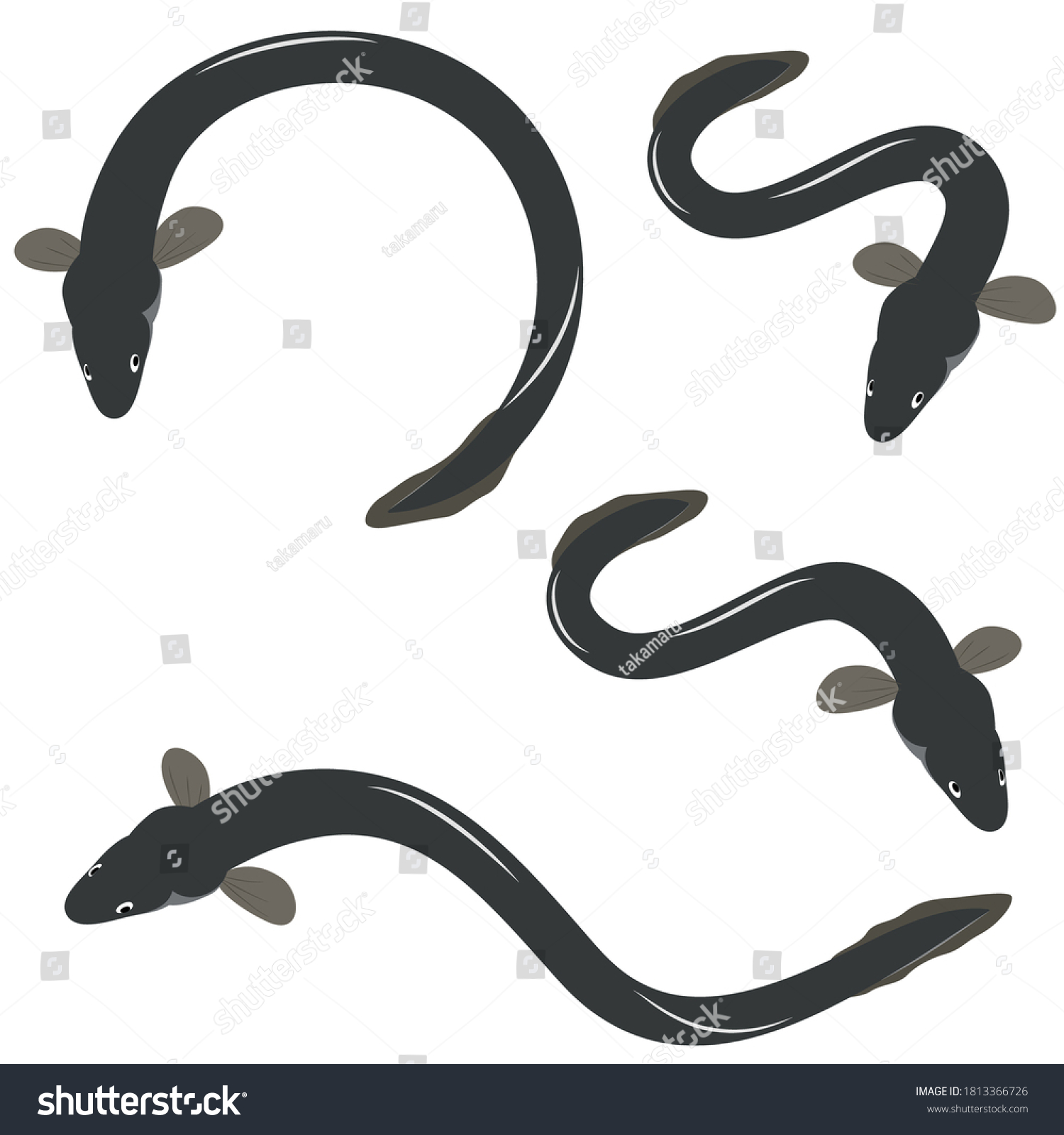 Vector Illustration Eel Set Patterns Stock Vector Royalty Free