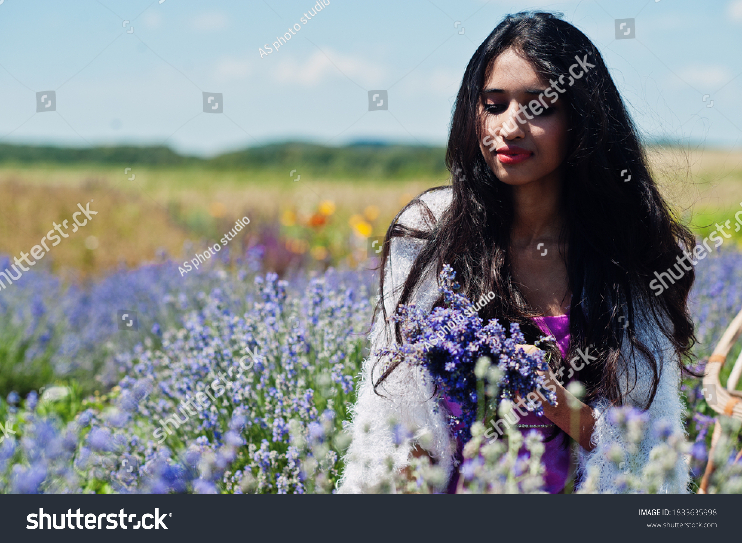 Beautiful Indian Woman Lavender Field Stock Photo 1833635998 Shutterstock