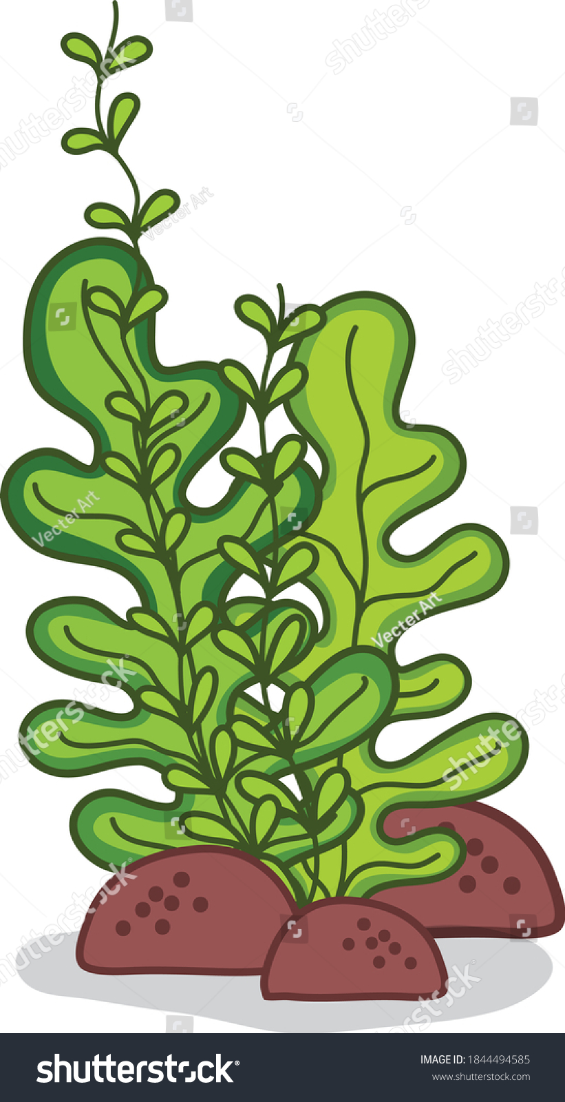 Seagrass Cartoon Vector Art Illustration Stock Vector Royalty Free