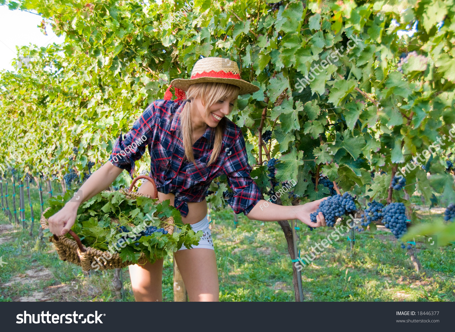 Супер детка в виноградной роще