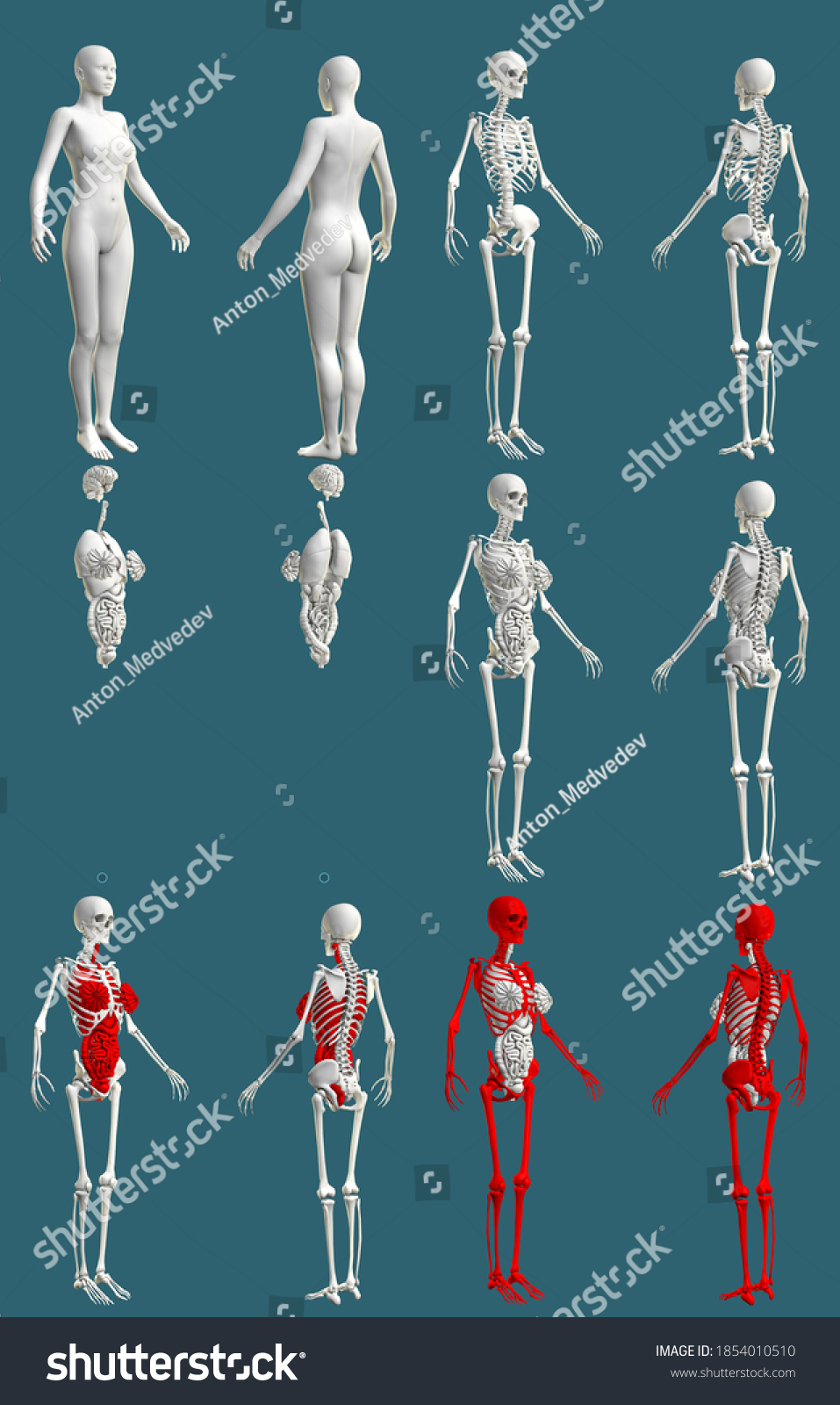 12 High Resolution Renders 1 Womans Stock Illustration 1854010510