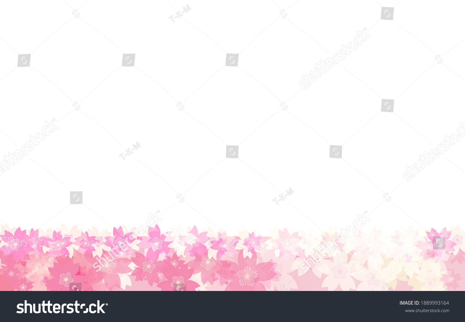 Spring Background Material Cherry Blossom Frame Stock Vector Royalty