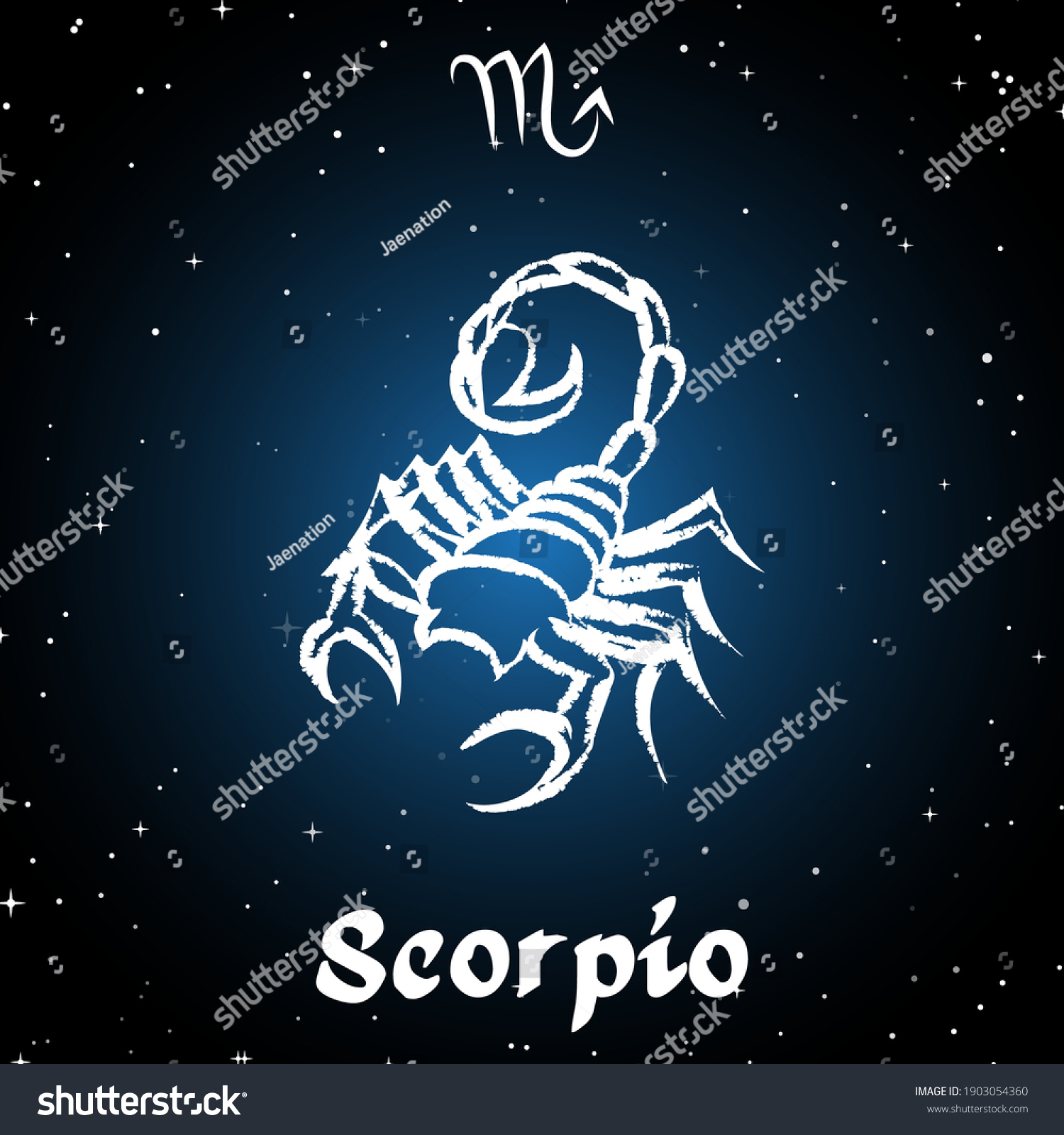 Scorpio Horoscope Sign Twelve Zodiac Galaxy Stock Vector Royalty Free