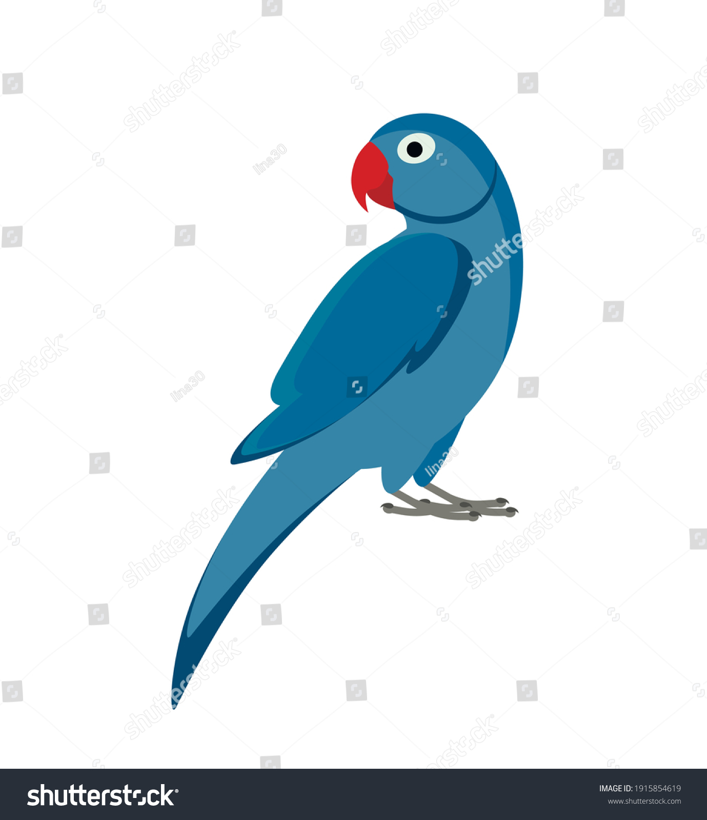 Blue Indian Parrot Isolated On White Stock Vector Royalty Free