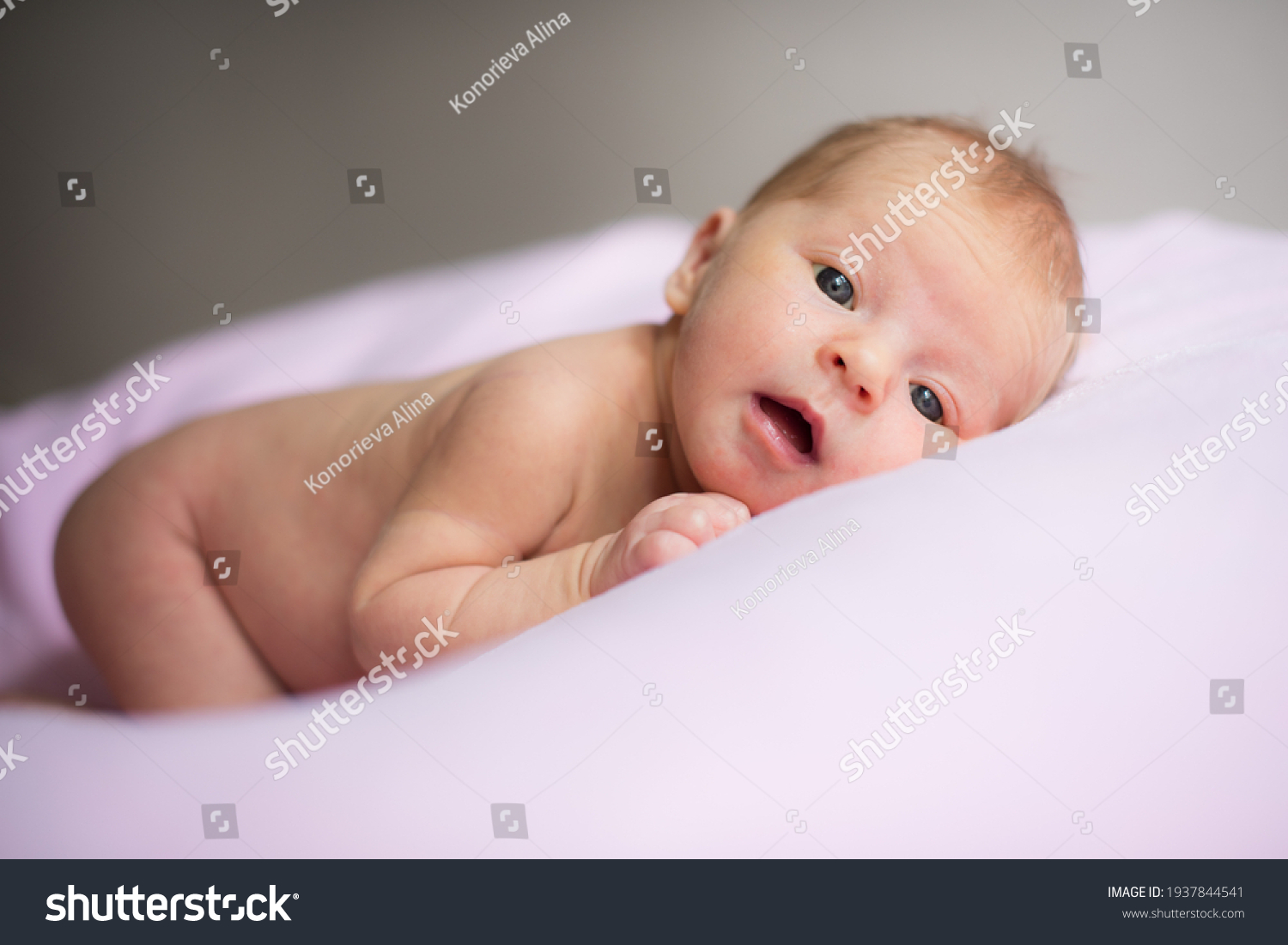 Naked Newborn Baby On Rose Background Stock Photo 1937844541 Shutterstock