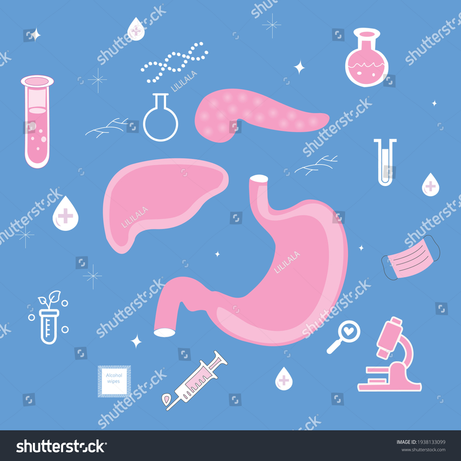 Analyzes Ultrasound Examination Check Gastrointestinal Tract Stock