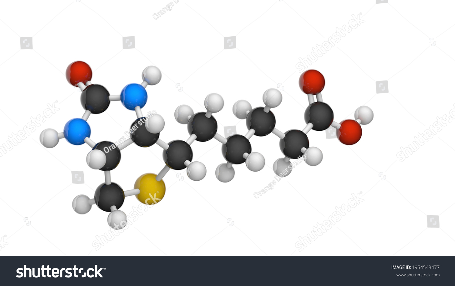 Molecular Structure Vitamin B Biotin Known Vitamin Stock Illustration