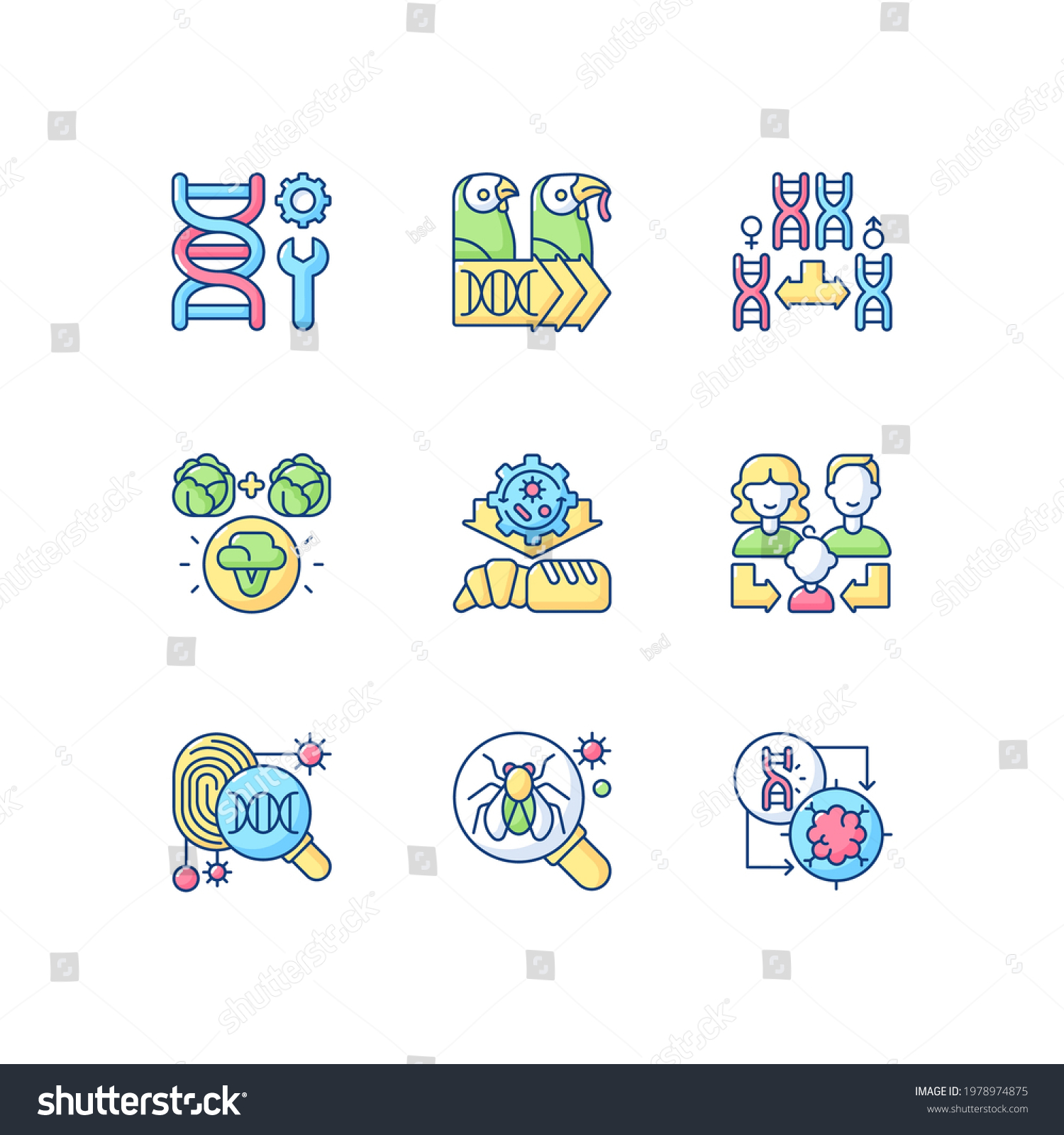 Genetics Rgb Color Icons Set Genetic Stock Vector Royalty Free