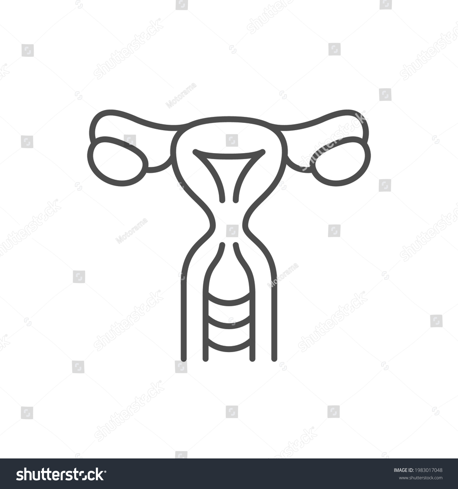 Female Reproductive System Line Icon Stock Vector Royalty Free