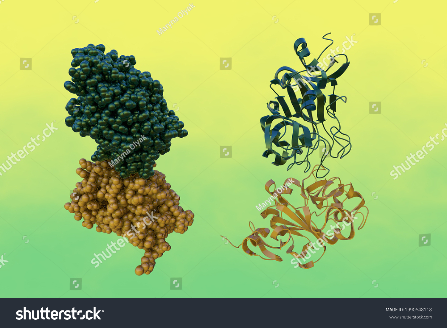 Crystal Structure Spacefilling Molecular Model Human Stock Illustration