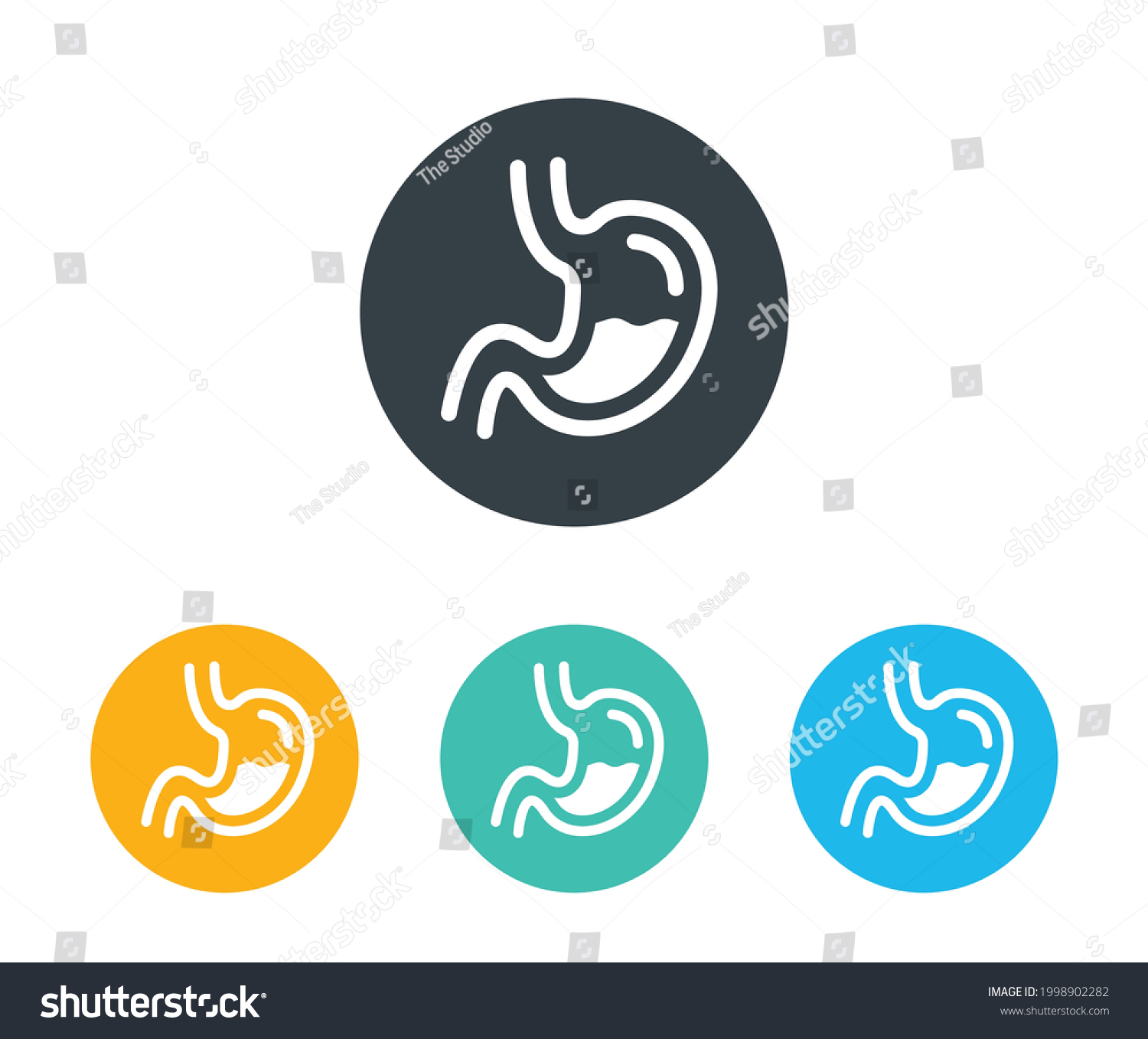 Human Stomach Organ Vector Icon Set Stock Vector Royalty Free